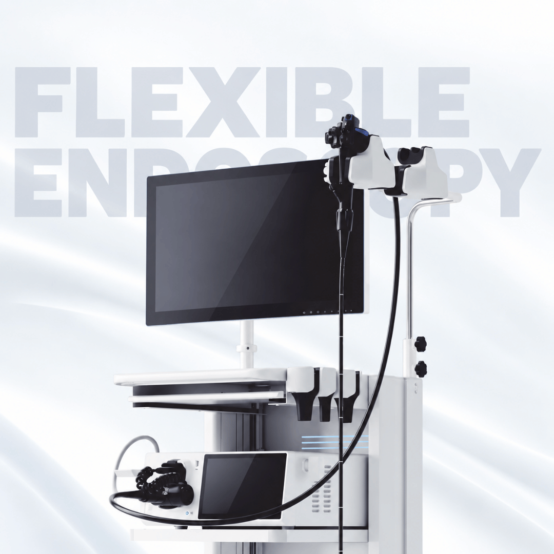 Flexible endoscopy system with monitor and endoscopic devices